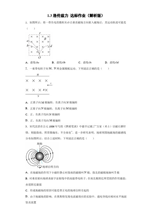 第一章第三节《洛伦兹力》达标作业