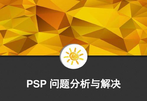 PSP 问题分析与解决 PPT