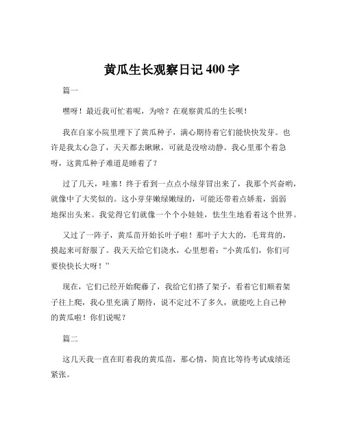 黄瓜生长观察日记400字