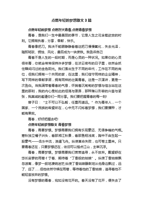 点燃年轻的梦想散文3篇