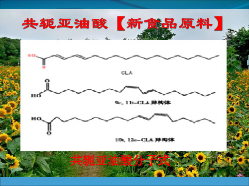 共轭亚油酸