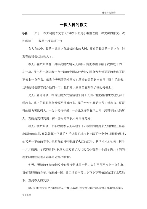 一棵大树的作文