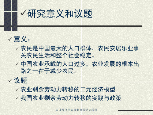 农业经济学农业剩余劳动力转移