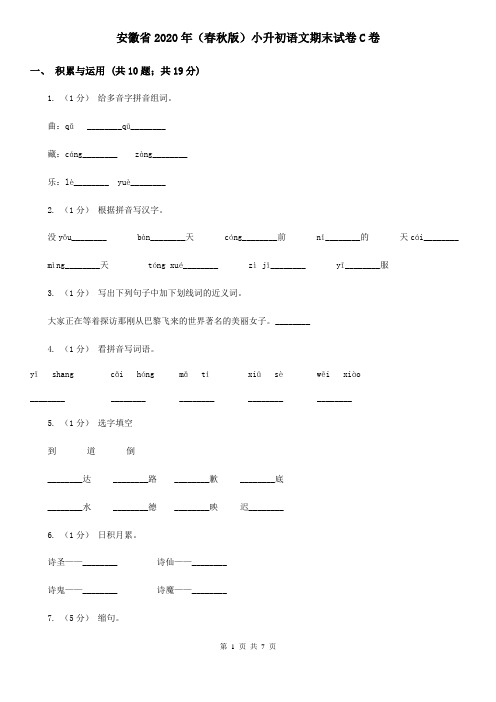 安徽省2020年(春秋版)小升初语文期末试卷C卷