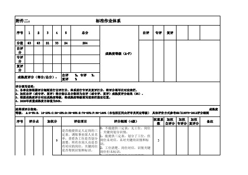 标准作业体系-加评分细则