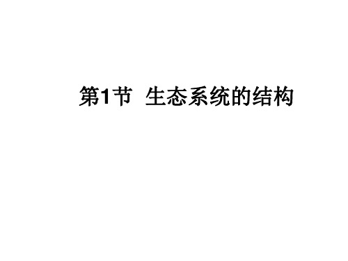 生态系统的结构 课件(共43张PPT) 2022-2023学年高二上学期生物人教版选择性必修2