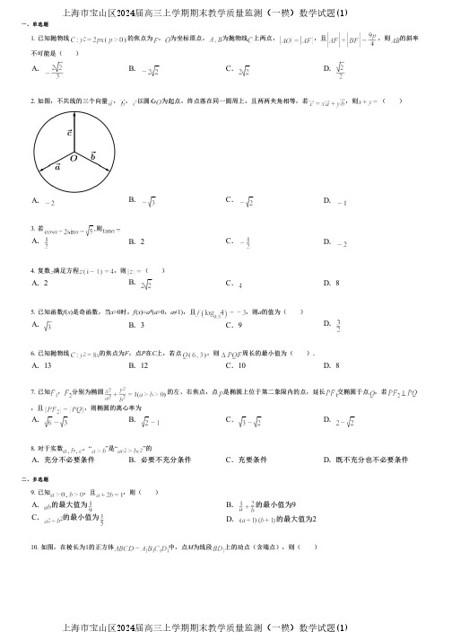 上海市宝山区2024届高三上学期期末教学质量监测(一模)数学试题(1)