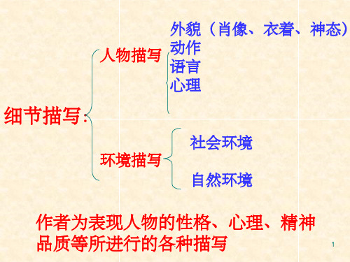 《细节描写作文》PPT课件