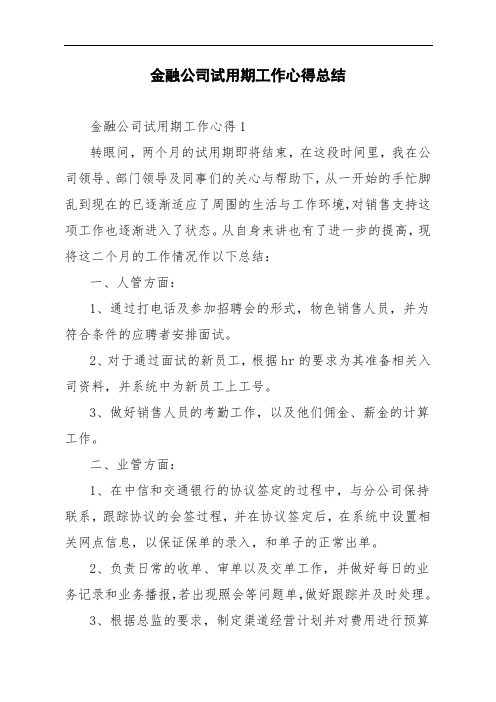 金融公司试用期工作心得总结