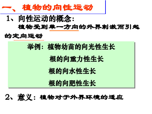 高中生物课件-植物何老师