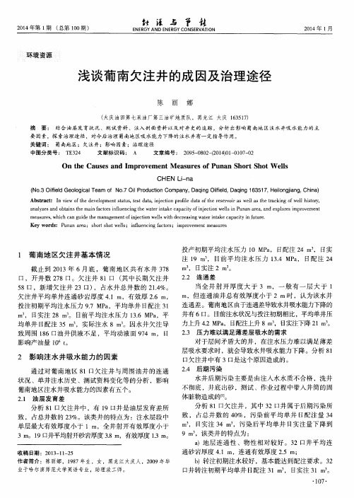 浅谈葡南欠注井的成因及治理途径