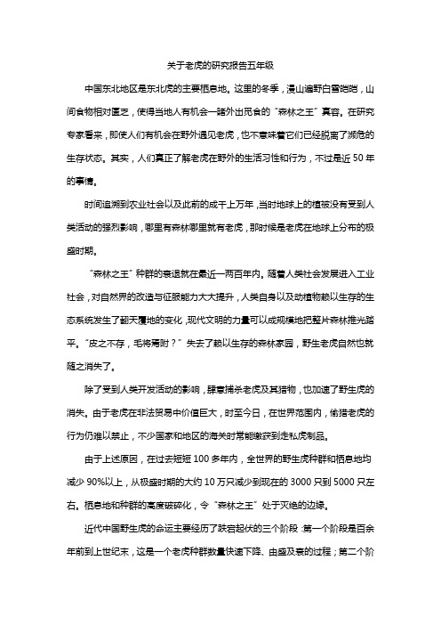 关于老虎的研究报告五年级