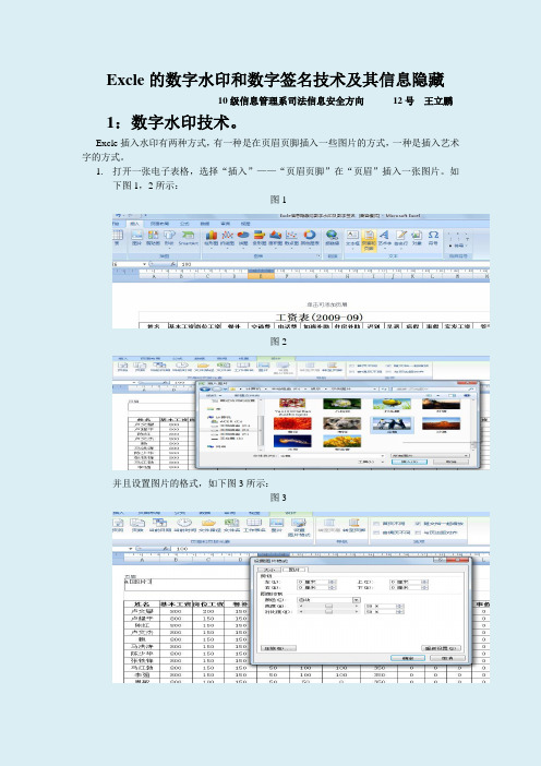 Excle的数字水印和数字签名技术及其信息隐藏