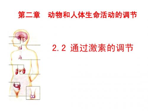 2.2.2 通过激素的调节