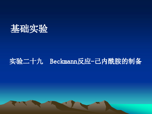 Beckmann反应-己内酰胺的制备