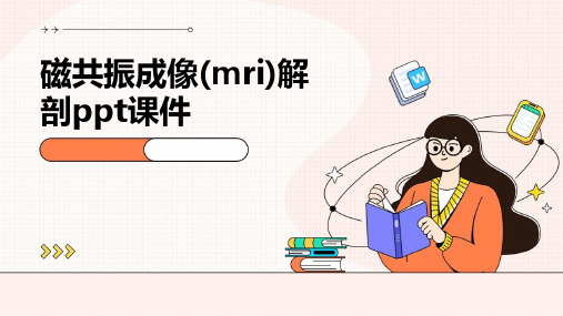 磁共振成像(MRI)解剖PPT课件