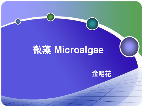 6,第二章(3),微藻的分类与培养