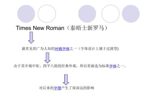 新罗马字体介绍共21页