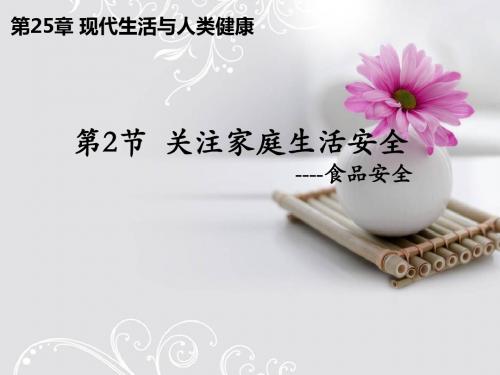 苏科版八下生物关注家庭生活安全 (2)