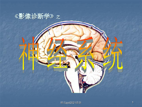 CT读片ppt课件