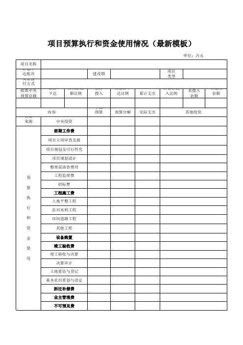 项目预算执行和资金使用情况表(最新模板)