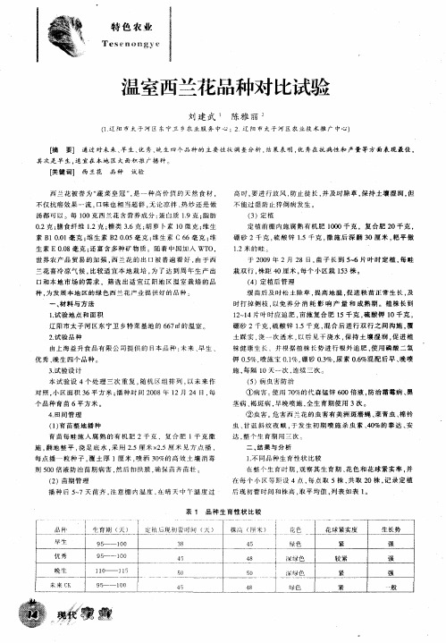 温室西兰花品种对比试验