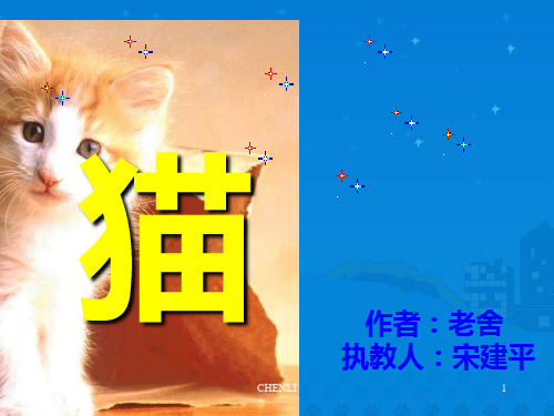 老舍《猫》ppt公开课课件