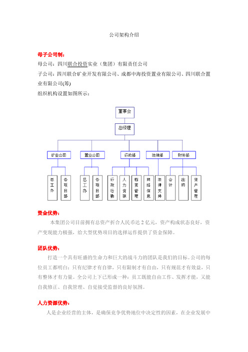 母子公司架构图