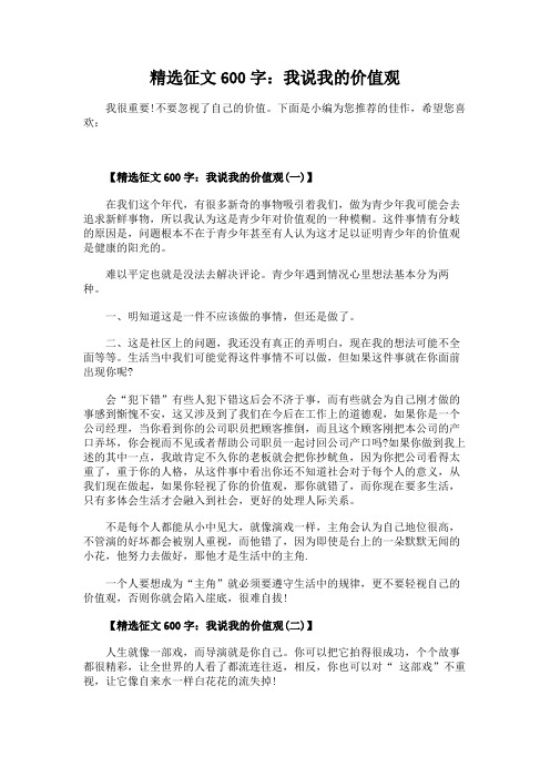 精选征文600字：我说我的价值观