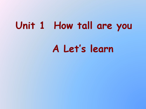 How_tall_are_you课件