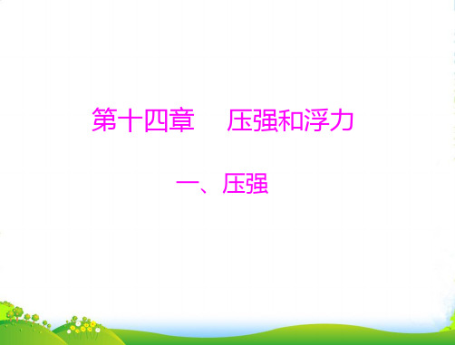 《随堂优化训练》九年级物理 第十四章 压强和浮力 一、压强 配套课件 人教新课标