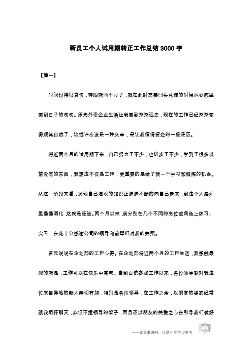 新员工个人试用期转正工作总结3000字