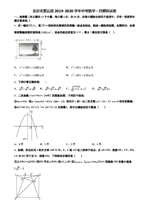 北京市密云县2019-2020学年中考数学一月模拟试卷含解析