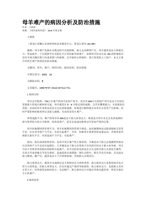 母羊难产的病因分析及防治措施