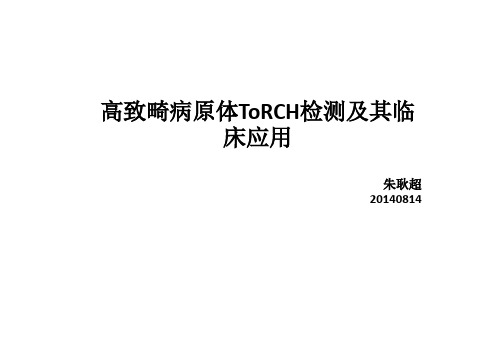 TORCH研究ppt课件