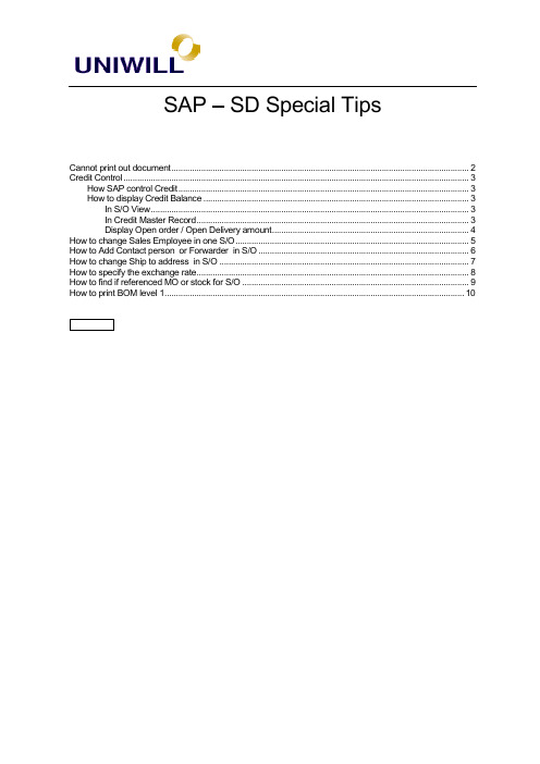 某单位SAP实施项目_用户操作手册_SD_SD - tips