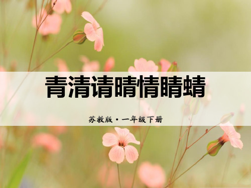 《青清请晴情睛蜻》PPT【完美版课件】