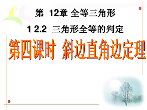 人教版八年级上册 1 2.2第四课时全等三角形判定斜边直角边 (共20张PPT)