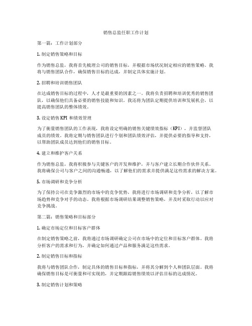 销售总监任职工作计划