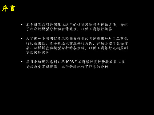 中国工商银行信贷风险评估手册内部使用精