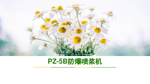 PC5I转子式喷浆机技术参数