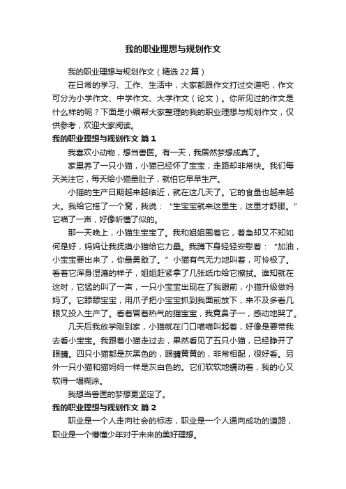 我的职业理想与规划作文（精选22篇）