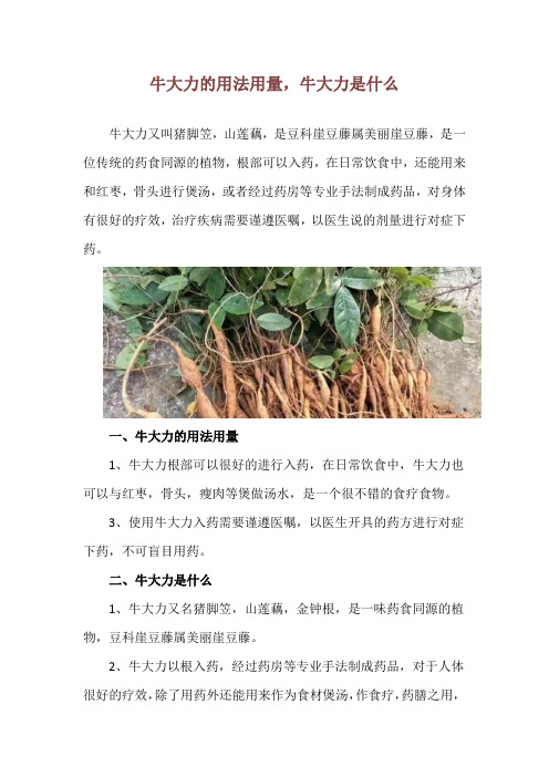 牛大力的用法用量,牛大力是什么