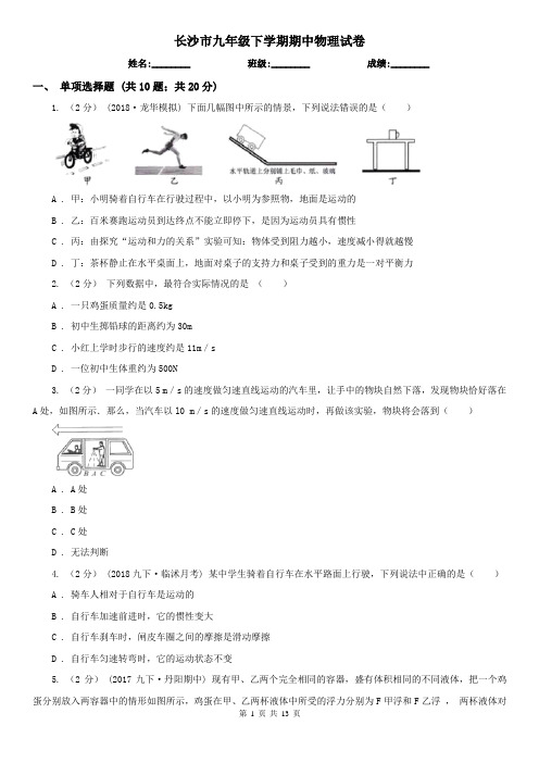 长沙市九年级下学期期中物理试卷 