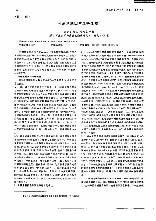 同源盒基因与血管生成