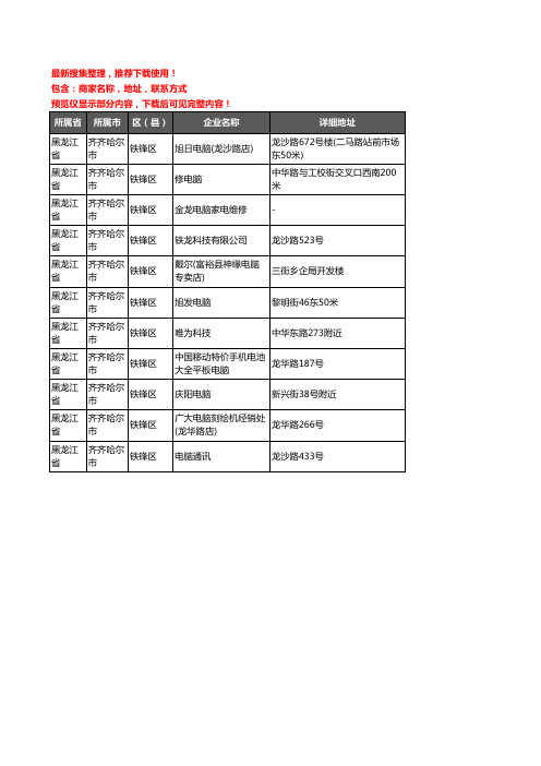 新版黑龙江省齐齐哈尔市铁锋区电脑企业公司商家户名录单联系方式地址大全11家