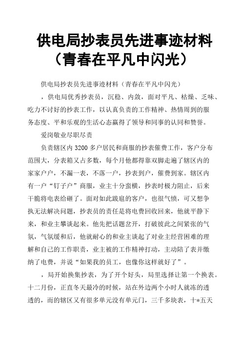 供电局抄表员先进事迹材料青春在平凡中闪光