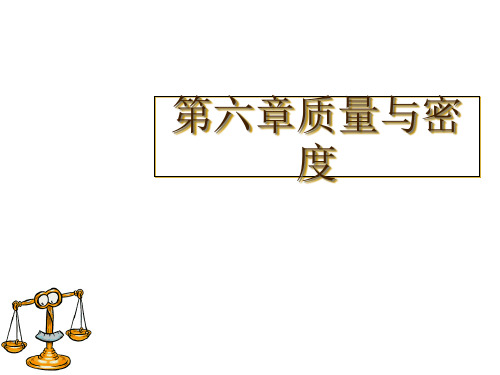 广东省河源市中英文实验学校中考物理复习课件：第六章质量与密度