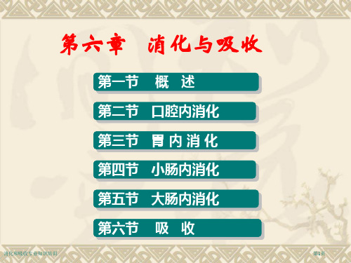 消化和吸收专业知识培训专家讲座