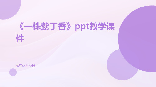 《一株紫丁香》PPT教学课件